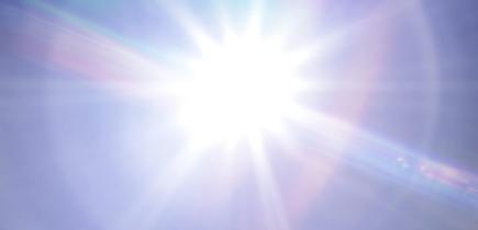 Microbiote et vitamine D